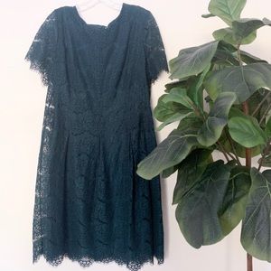 Short sleeve Lace Dress in Evergreen